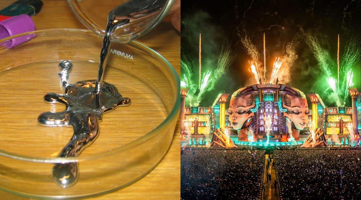 ¿Qué se celebra el 23 de febrero? Hoy arranca EDC México 2024 y es el