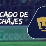 Pumas en el mercado de fichajes: Altas y bajas de los auriazules rumbo al Clausura 2026