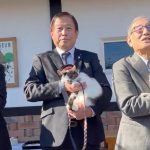 Japón nombra a Rokutama, una gata, como aprendiz de jefe de estación de la línea Kishigawa