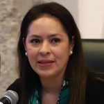 ¿Quién es Karen Castrejón? Dirigente Nacional del Partido Verde