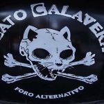 Gato Calavera se va de la Álamos por gentrificación