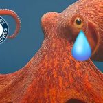 Fósil de “pulpo” pierde su Récord Guinness como el más antiguo