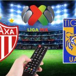 Necaxa vs Tigres: A qué hora y dónde ver el partido de la jornada 15 de la Liga MX