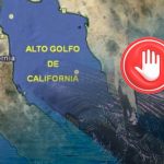 Frenan Proyecto Saguaro por riesgo a ballenas en el Golfo de California