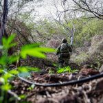 ¿Puede México replicar un modelo económico y de seguridad exitoso? Una respuesta incómoda pero necesaria