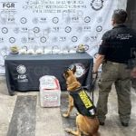 FGR asegura más de 5 kilos de metanfetamina en empresa de paquetería en Jalisco