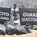 Decomisan 100 kilos de marihuana, armas y vehículos en operativos en Guerrero