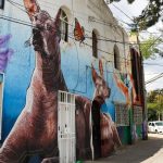 Viviendas de alquiler en CDMX: ¿adiós a los abusos?