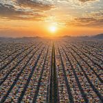 Nezahualcóyotl; un municipio hecho por su gente