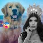 Un golden retriever, clave en la tensión previa al feminicidio de Carolina Flores