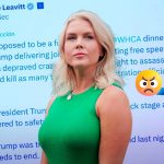 Leavitt reacciona a ataque en Washington y pide “rezar por el país”