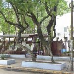 Detienen a alumno del IPN con arma en Casco de Santo Tomás