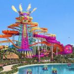 Semarnat revela análisis técnico y ambiental de Perfect Day en Mahahual
