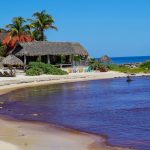 Estos serían los factores detrás de la caída del turismo en Cancún y Playa del Carmen