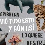 La selva no vota, pero tiene derechos