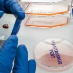 Secretaría de Salud confirma que no hay hantavirus en México