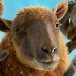 Reseña de Las Ovejas Detectives: humor y amistad en una película entrañable