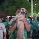 Los videos del triunfo de México ayudaron a encontrar a una perrita desaparecida